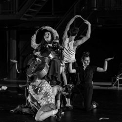 Bir Çekirgenin Rüyası – Sirk performansı (Hollanda)